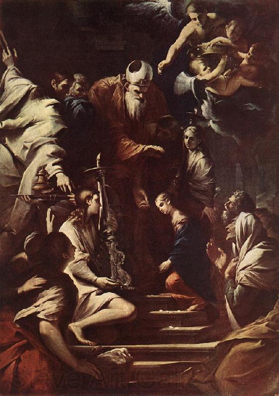 TESTA, Pietro Presentation of the Virgin in the Temple et Spain oil painting art